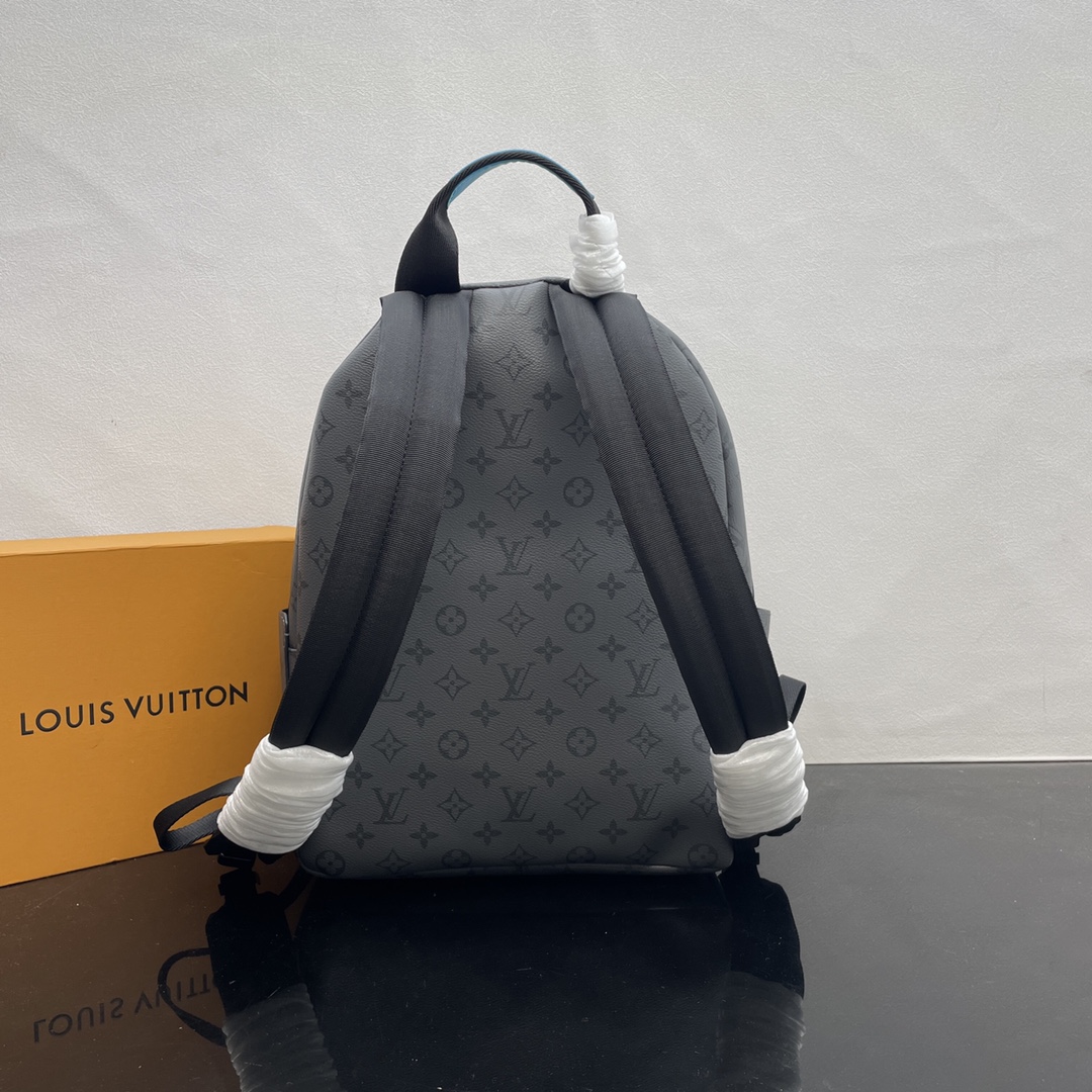 Louis Vuitton Backpacks